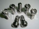 Titanium Brake Bolt